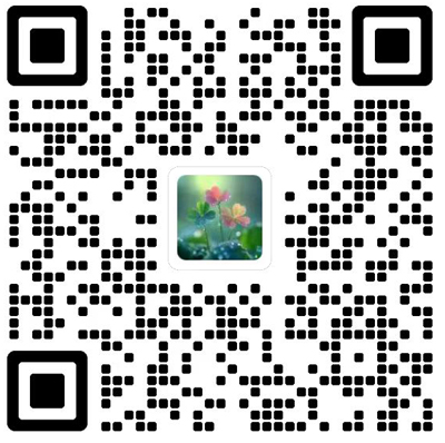 中学数学研究(华南师范大学版)杂志模板